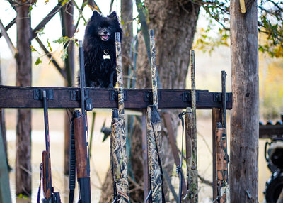 CoJo Gun Magnet